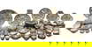 item-210147055=1