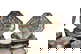 item-210147055=6