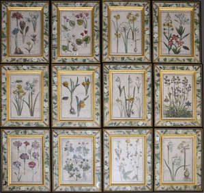A Set of Twelve Hand-Colored Botanical Engravings From Daniel Rabel’s Theatrum Florae