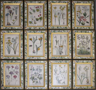 A Set of Twelve Hand-Colored Botanical Engravings From Daniel Rabel’s Theatrum Florae: A Set of Twelve Hand-Colored Botanical Engravings From Daniel Rabel’s Theatrum Florae Each engraving with various flowers. Each numbered in the decimal system: 1. # 16 – Narcissus… 2. # 53 - Ran