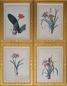 4 Antique French Botanical Prints. Gilded leaf design with pierced holes. Sight size 20 x 13 inches.