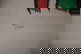 item-210147094=5