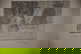 item-210147099=3