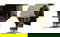 item-210147136=5
