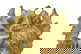 item-210147189=2