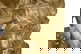 item-210147189=3
