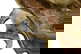 item-210147189=5
