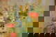item-210147240=2