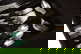 item-210147259=3