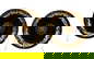 item-210147300=19