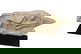 item-210147346=3