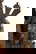 item-210147347=5