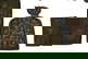 item-210147386=5