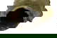 item-210147449=6