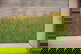 item-210147473=6