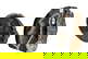 item-210147503=2