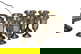item-210147520=2
