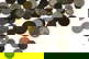 item-210147529=5