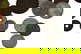 item-210147529=9