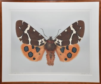 Dr. Joseph Scheer (German/American, B. 1958) Digital print on heavy watercolor paper, Arctia caja