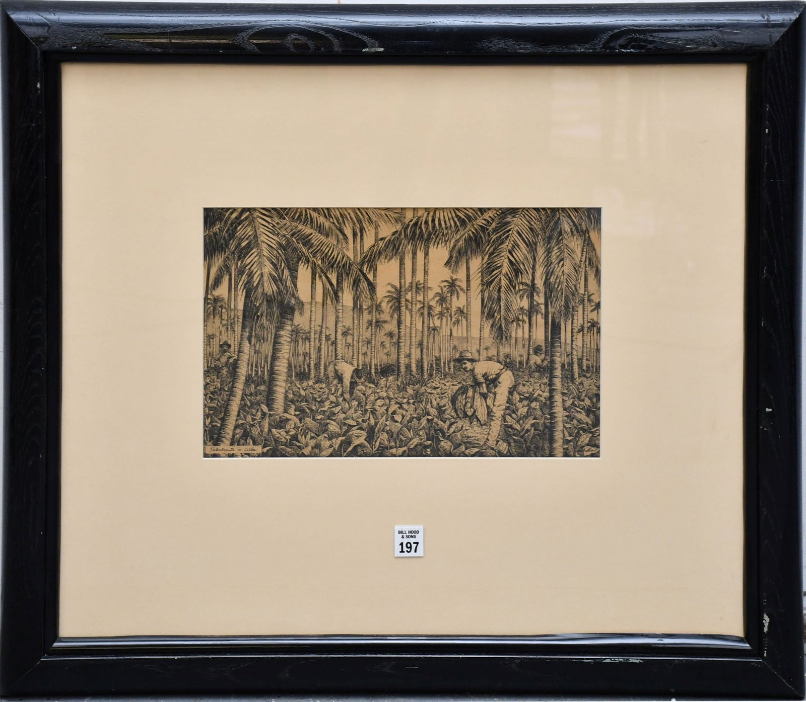 A. Kail (19th century Britian), Antique Print-  "Cuba Tobacco Harvest", sight size 9 x 14 inches (1 of 6)