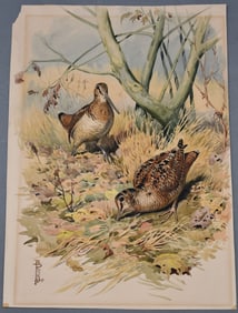 Boris Riab (French/Russian, 1898-1975) 2 Ruffed Grouse looking for lunch, signed lower left "B