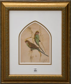 Antique Lithograph of 2 Parakeets, plate signed illegibly, in gold frame. 21 x 19 overall.