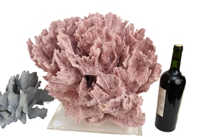 2 large pieces of coral largest is 15 x 16 x 12 inches