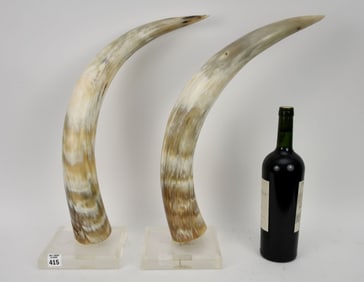 Pair Horns on Lucite, 22"h x 15"w