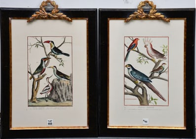 Pair hand colored bird etchings, "Chelsea House", 24 x 17 inches overall