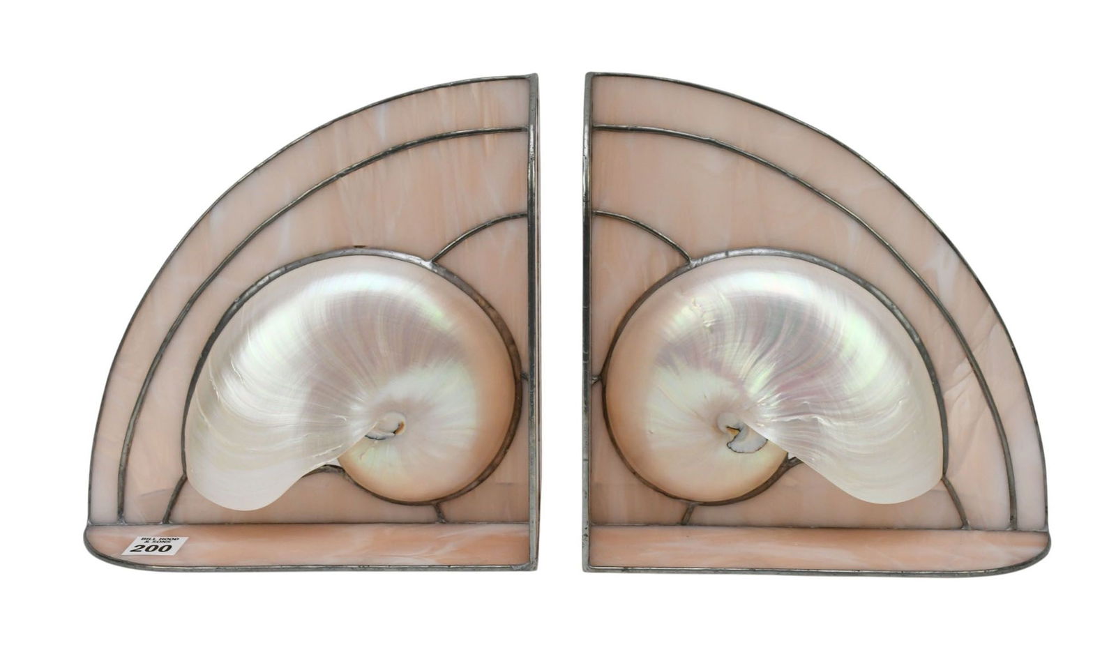 Pair of Nautilus Shell Bookends, 9" high x 9" wide x 5" deep: Pair of Nautilus Shell Bookends, 9" high x 9" wide x 5" deep
