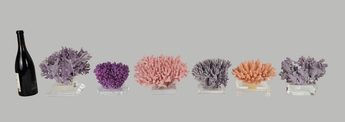 Grouping of 6 Colored Coral Specimens on Acrylic bases, Largest 10" wide x 7" high x 7" deep