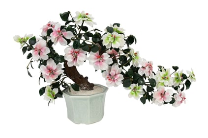 Jade Tree in Celadon Pot, 17"h x 30"w