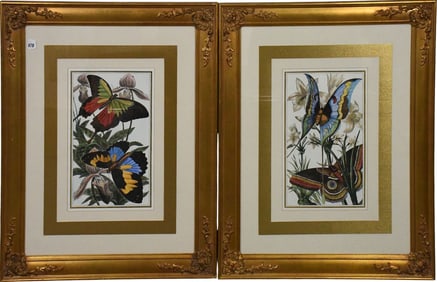 Pr. Highly Decorative Botanical Prints in Painted Gilt Frames. Overall size 19 x 14-1/2 inches