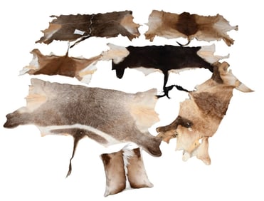 6 Animal Skins & Pillow, Deer, Antelope and Goat, Etc, Largest 42" x 67"