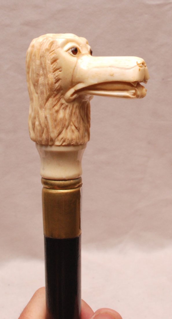 Walking stick with Marine ivory poodle handle, 35"L: Walking stick with Marine ivory poodle handle, 35"L