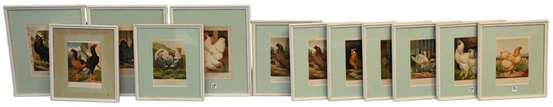 Twelve Poultry Chromolithographs, From Cassells Poultry Book, 1880, After Lewis Wright 3 in 18" x (1 of 13)