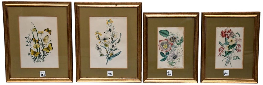 4 Antique Colored Engravings- British Butterflies in their Transformations: Westwood, Humphrey. In (1 of 6)