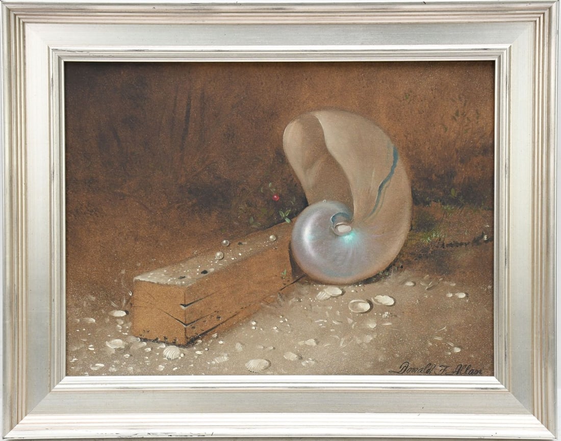 Donald F. Allan (American, 1927-2013), Still Life with Nautilus Shell, Oil on canvas 12 x 16“: Donald F. Allan (American, 1927-2013), Still Life with Nautilus Shell, Oil on canvas 12 x 16“ overall frame size 16 x 20“