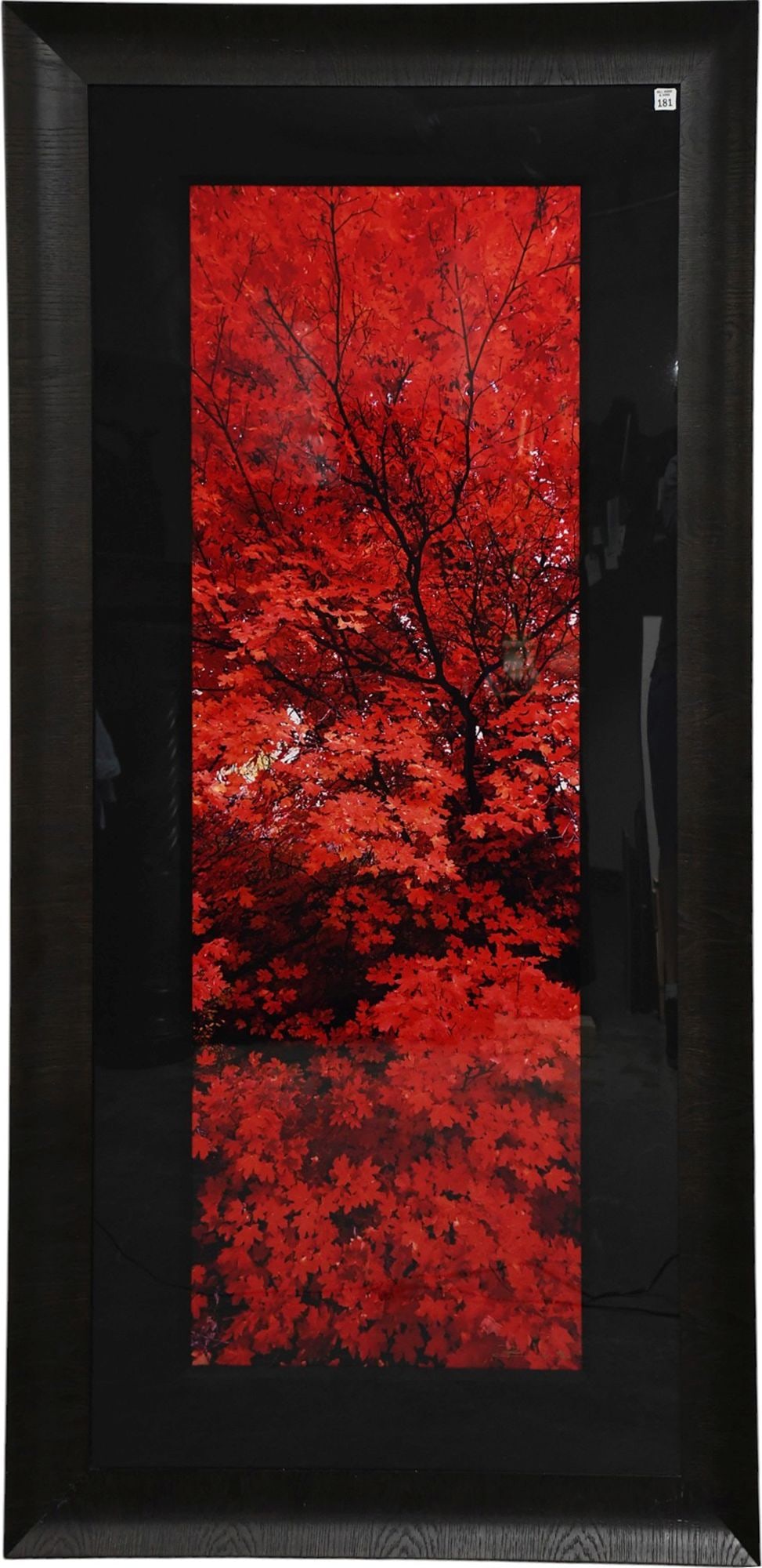 Peter Lik (Australian, B. 1959) "Zen" featuring Vibrant red fall foliage (1 of 7)