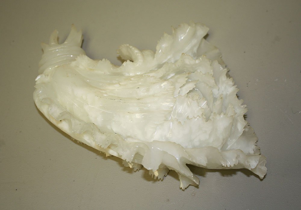 White Jade Floral Form Carving. Condition: good with m: White Jade Floral Form Carving. Condition: good with minor normal losses. Lth. 9"