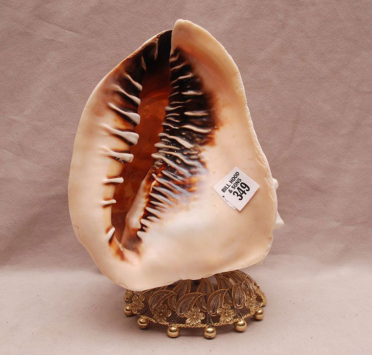 Carved cameo Shell / lamp, 10 1/2"h: Carved cameo Shell / lamp, 10 1/2"h