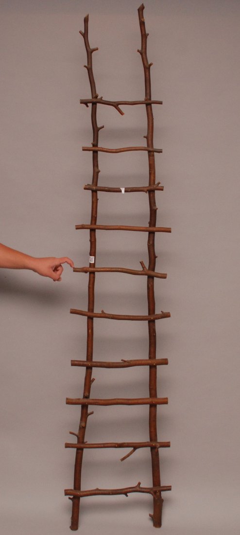 Adirondack twig ladder, 70"h: Adirondack twig ladder, 70"h