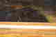item-38342350=3