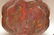 Antique Chinese Scallop Shape Lacquered Wood Bowl with - 2