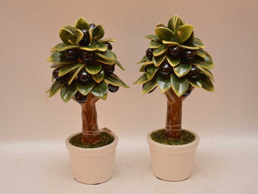 Pair Italian porcelain Black Olive topiary in white pot (1 of 4)