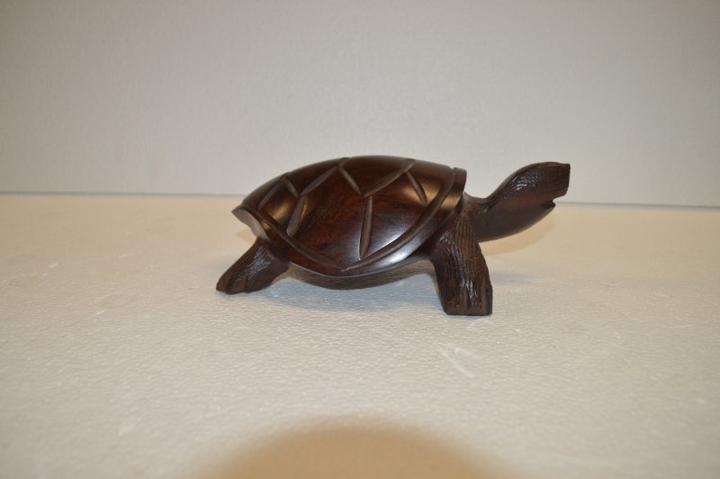 Wood Turtle: Carved Wood Turtle - 8 x 5