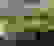 item-51445278=3