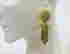 item-52634148=2
