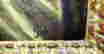item-52634190=3